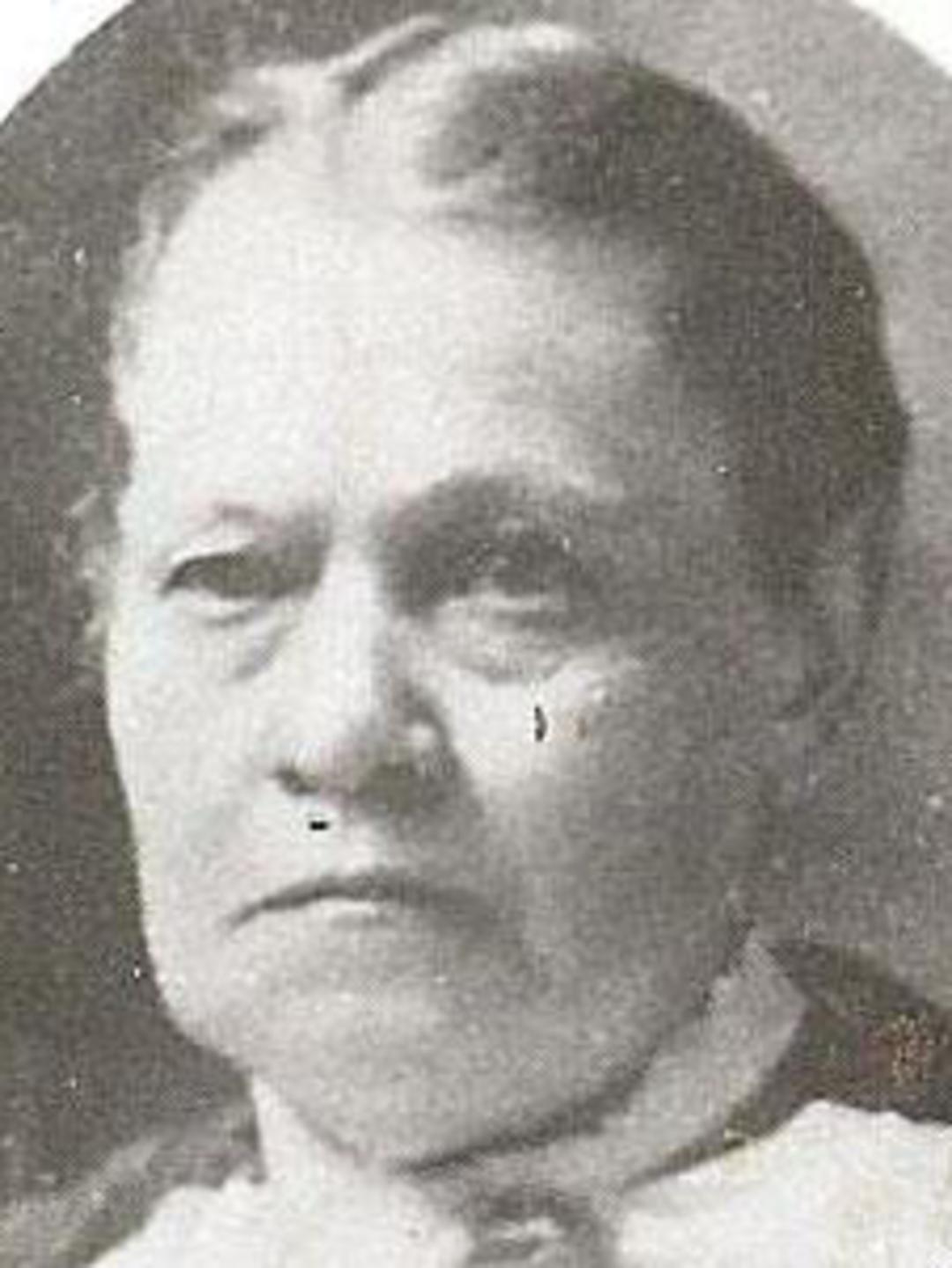 Nancy Parker Follick (1838 - 1909) Profile
